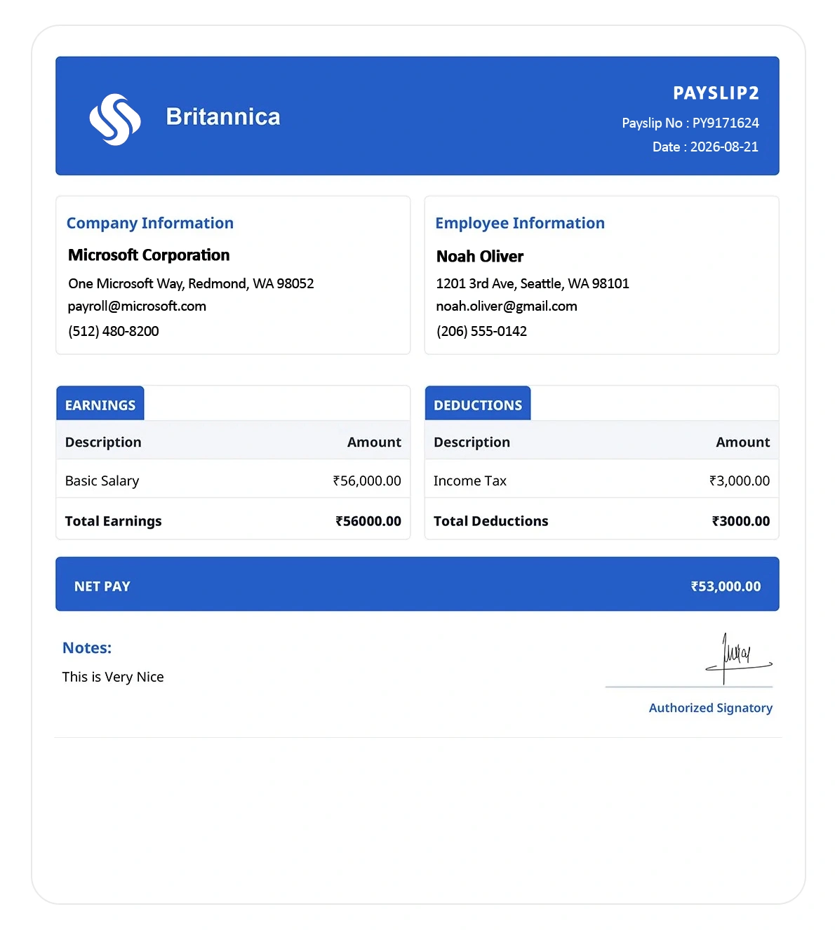 Payslip Template 2