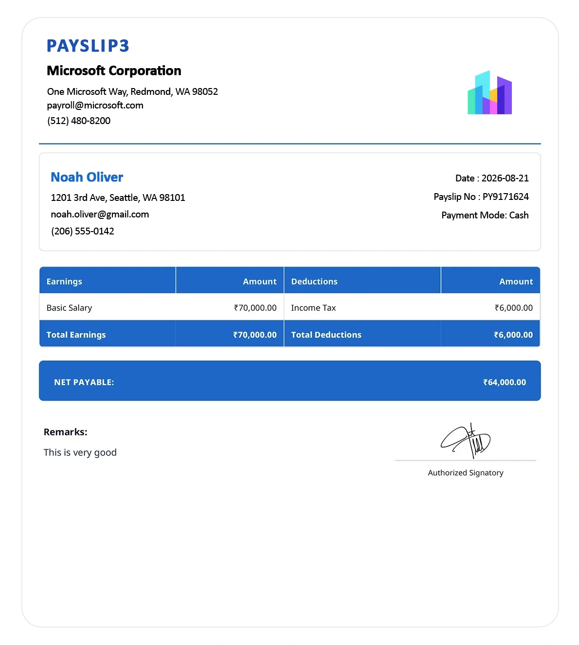Payslip Template 3