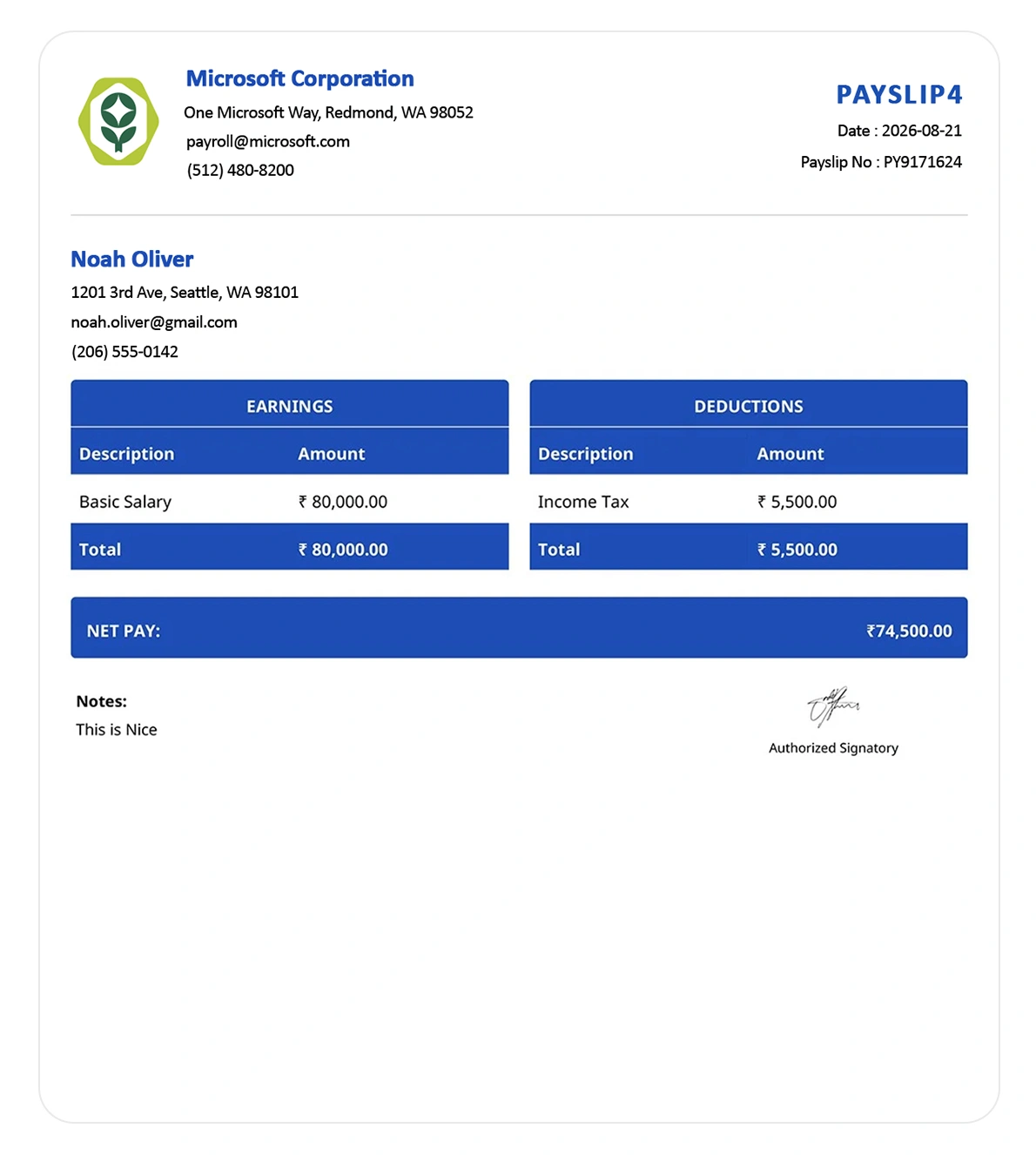 Payslip Template 4