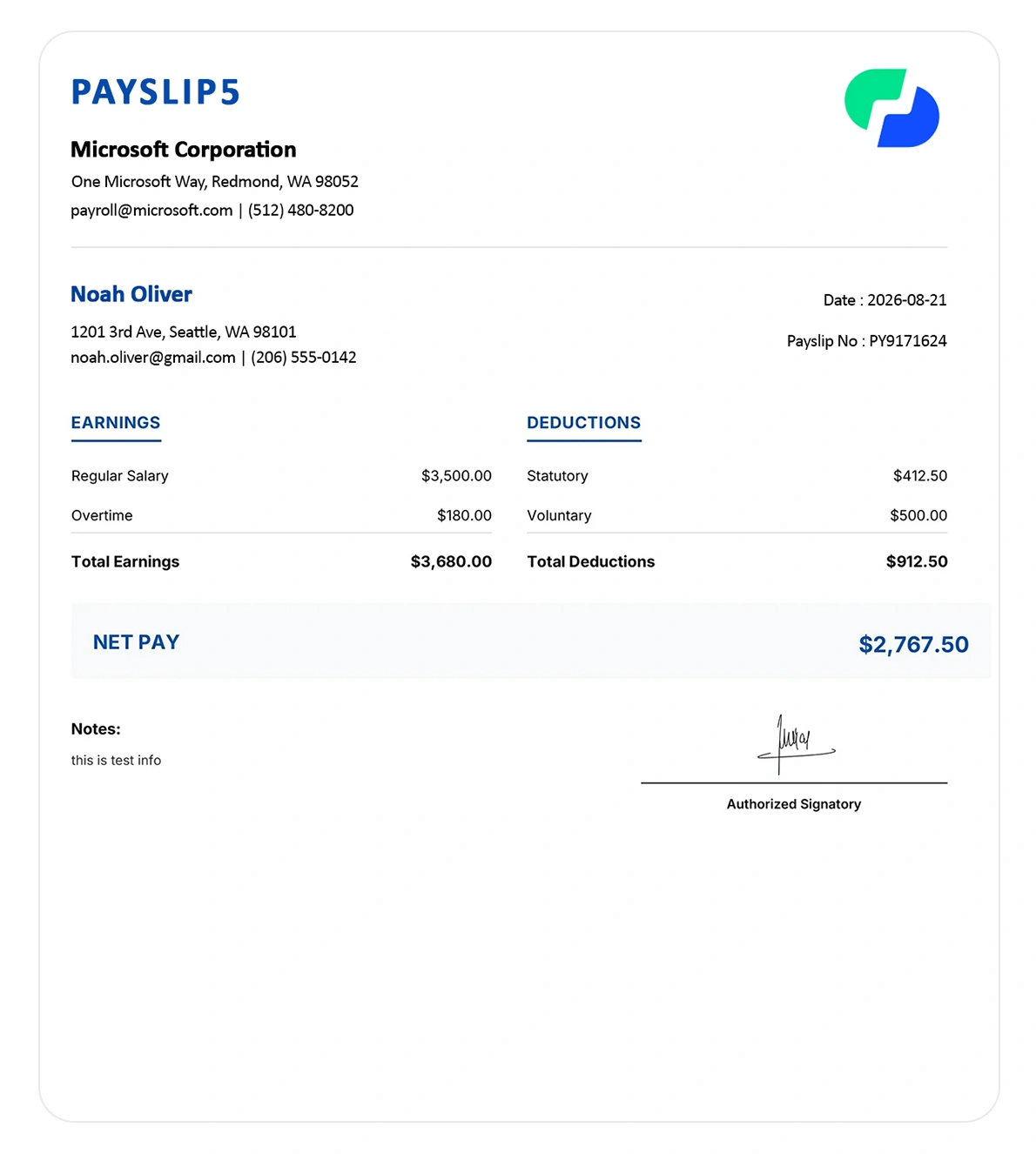 Payslip Template 5