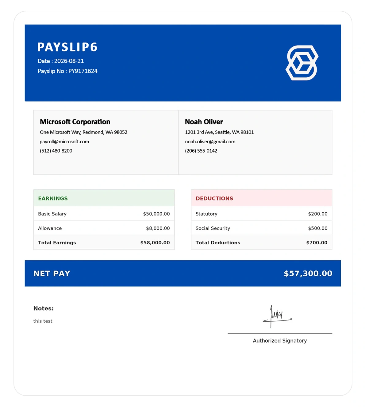 Payslip Template 6